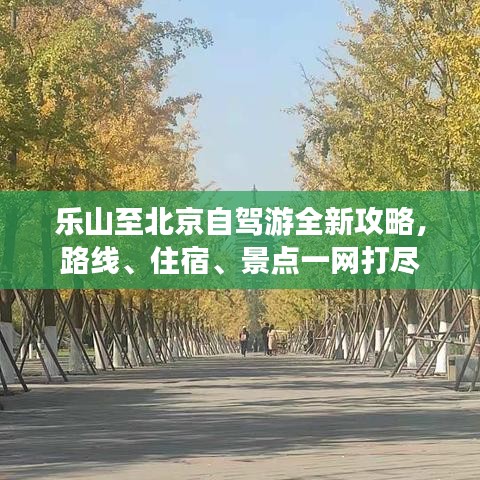 飞黄腾踏