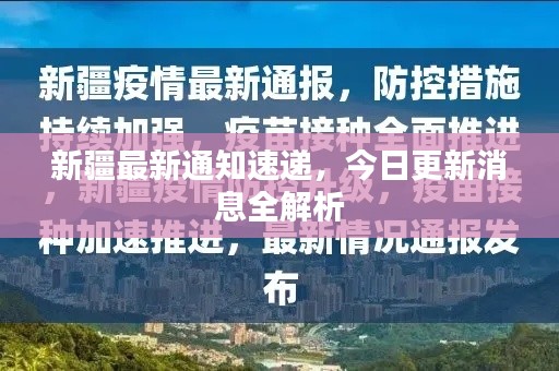 2025年6月20日