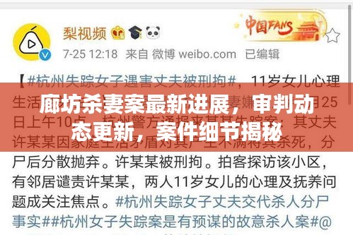 廊坊杀妻案最新进展，审判动态更新，案件细节揭秘