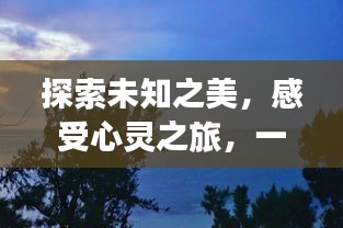 探索未知之美，感受心灵之旅，一份深情旅游攻略